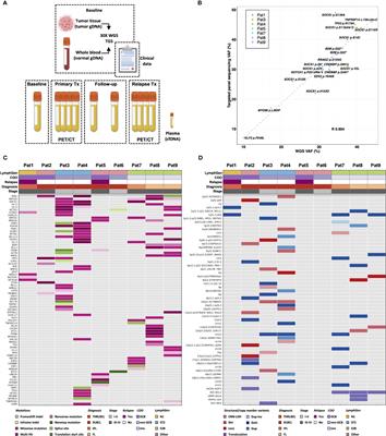 Whole-genome informed circulating tumor DNA analysis by multiplex digital PCR for disease monitoring in B-cell lymphomas: a proof-of-concept study